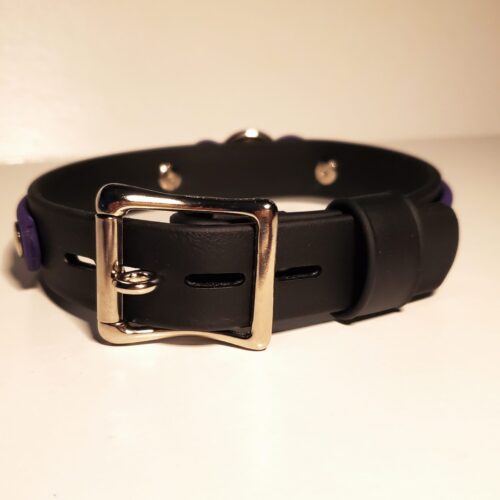 Tongue Buckle Closure People Collars